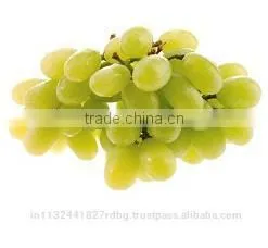 Black Grapes ,White Grapes,Seedless Grapes Exporter thumbnail-4
