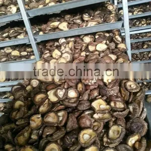 Shiitake Mushroom Slice thumbnail-6
