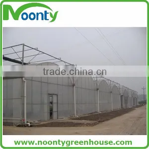 Professional Greenhouse Project Commercial Hydroponic Systems thumbnail-1
