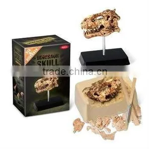 Mid Dinosaur Skull Dig Kit With Stand, 6 Assorted, 24pcs per Display. thumbnail-1