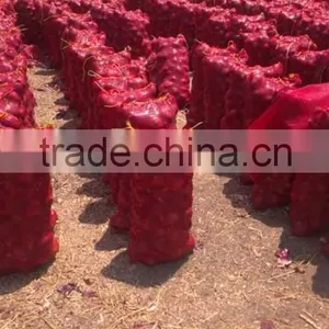 Red Onion Fresh Red Onion for Export thumbnail-5
