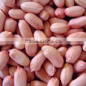 Best Price Bold Peanut Certified Supplier From India thumbnail-1