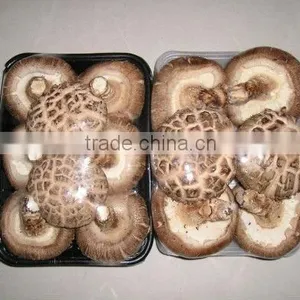 Fresh Lentinus Edodes thumbnail-1