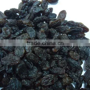 Black Raisin thumbnail-1