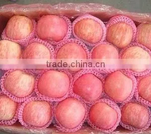 Red Apple thumbnail-1