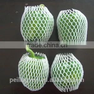 Green Fresh Bell Pepper From China Farmland thumbnail-4