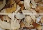 Salted Boletus thumbnail-1