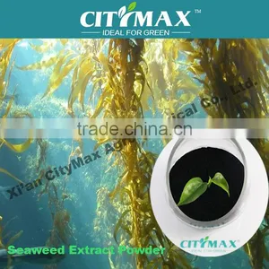 100% Soluble Seaweed Extract Fertilizer thumbnail-1