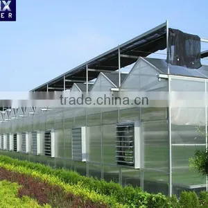 Glass Greenhouses With Inside Shading Screen thumbnail-1