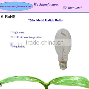 250w MH Bulbs thumbnail-1