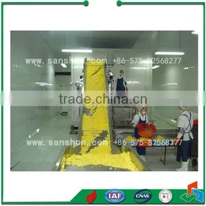 IQF Tunnel Freezer for Fruits and Vegetables thumbnail-1
