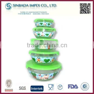 A8005D4 Daily Use Product, Eco-Friendly 5 PCS Glass Bowl Set thumbnail-1