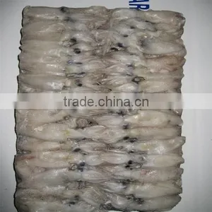 Frozen Baby Loligo Squid thumbnail-3