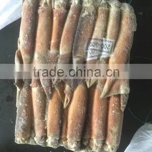 200-300G Frozen Argentina Squid For Thailand thumbnail-2