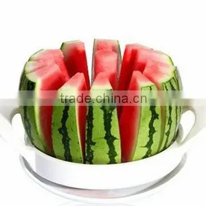 Stainless Steel Water Melon Slicer thumbnail-1