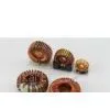 Low Leakage Custom Low Distribution High Impedance Toroidal Core Inductors thumbnail-1