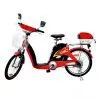 Electric Bicylce thumbnail-1