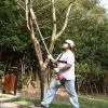 Sell Pole Saw thumbnail-1