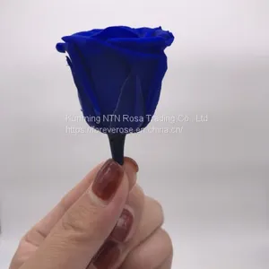 Wholesale3-4cm Elegant Real Touch Preserved Rose Flower thumbnail-1