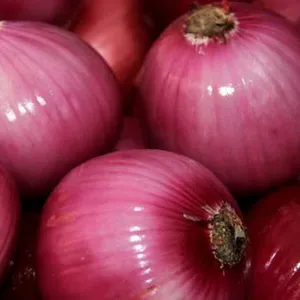 Wholesale Red Onion Fresh Onion Price Wholesale Prices Super Price thumbnail-3