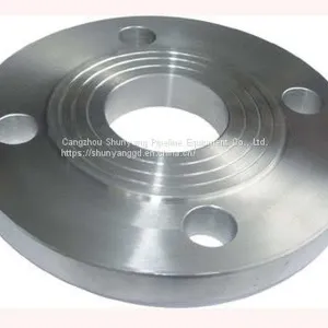 Butt-welded Ring-plate Loose Sleeve Flange thumbnail-1