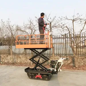 Crawler Type Dumper With Lift Container, Hydraulic Scissor Lifter thumbnail-1