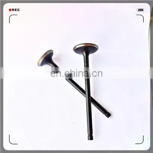Auto Spare Parts Inlet and Outlet Engine Valve for Suzuki F5A/F8A/LJ50/F10A thumbnail-4