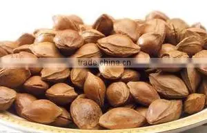 Apricot Kernel thumbnail-1