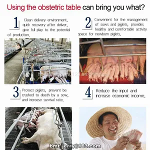 Farrowing Crates for Pig Farm Certified Pig Equipment for Sow thumbnail-3