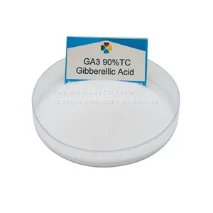 Supply Agrochemical Gibberellic Acid Ga3 90%tc for Sale With Price thumbnail-1
