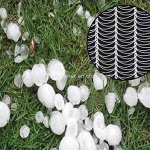 Batawa HDPE Agricultural Anti Hail Netting Orchard Tree Hail Protection Net With UV Resistance thumbnail-2