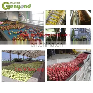Mini Fruit Juice Making Machine thumbnail-4