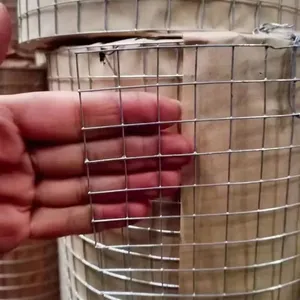 Welded Wire Mesh thumbnail-4