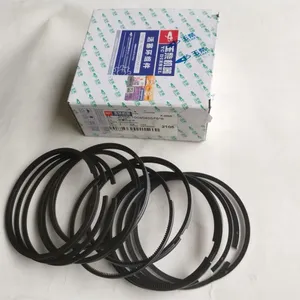 Good Quality Engine Parts 1 Set Piston Ring Kit J0100-1004040SF6*6 Piston Ring Assembly Use for Chinese Bus thumbnail-4