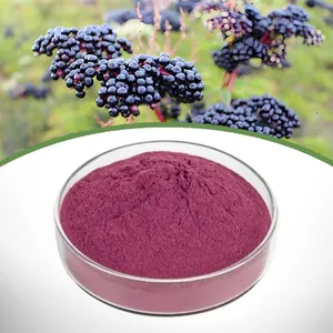Elderberry Extract thumbnail-1