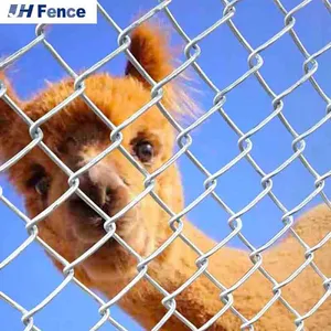 4' X 50' Black Vinyl Coated 9-Gauge Chain Link Fence Fabric for Long-Lasting Use thumbnail-4