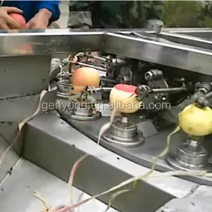 Small Pitting Machine Mango Jujube, Coconut Jujube Pitting Machine for Sale thumbnail-3