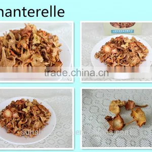 Wild Organic Dry Cantharellus Cibarius Mushroom / Chanterelle thumbnail-1