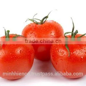 Pickled Tomatoes in 1500ml Glass Jar and 720ml Glass Jar. thumbnail-3