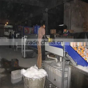 Weigher Type Sorting Machine thumbnail-4