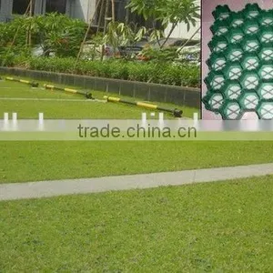 Plastic Grass Grid thumbnail-4