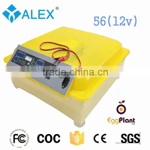 High Quality Poultry Incubator for Sale Hatching 56 Eggs Incubator thumbnail-1