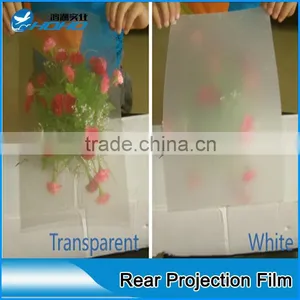 High Definition Black Hologram Rear Projection Film,use Under Direct Sun &light thumbnail-1