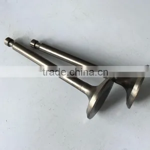 188F BISON China Taizhou Exhaust Valve, Valve Exhaust, Engine Valve thumbnail-4