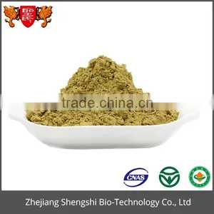 High Quality Plant Extract Peppermint Extract Mint Extract ,Herbal Mint Leaf Extract Powder thumbnail-5