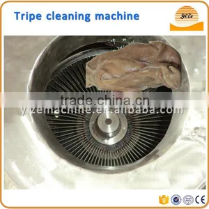 Cow /sheep/ox/pig/cattle Tripe Stomach Washing Machine , Beef Tripe Washer Machine thumbnail-1