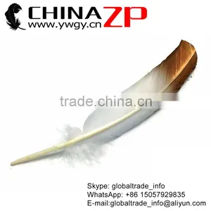 Gold Leading Supplier CHINAZP Wholesale Plume Dyed Bulk Gold Metallic Bicolourable Turkey Feathers thumbnail-1