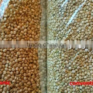 Organic White Quinoa thumbnail-1