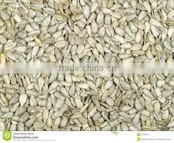 Sunflower Kernels Sunflower Seeds Kernels thumbnail-6