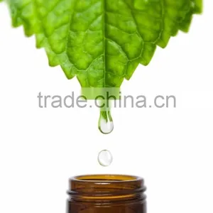 Wholesale 100% Pure Natural Peppermint Oil thumbnail-5